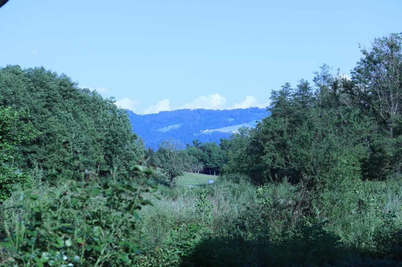 Ferienwohnung #4 Mit Terrasse In Zentraler Dennoch Ruhiger Lage - Stadtbus Vor Der Tuer! Lindau  Eksteriør billede